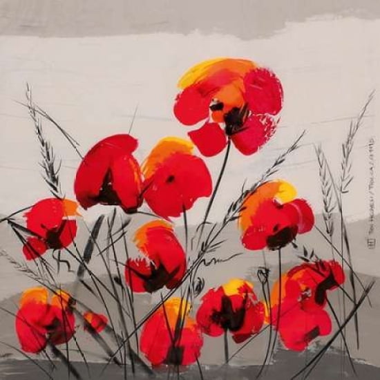 Multiple Poppies Canvas Art - Tibi Hegyesi (24 x 24)