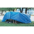 thumbnail image 1 of Multiple Use Tarps, 25 ft Long, 15 ft Wide, Polyethylene, Blue, 1 of 4