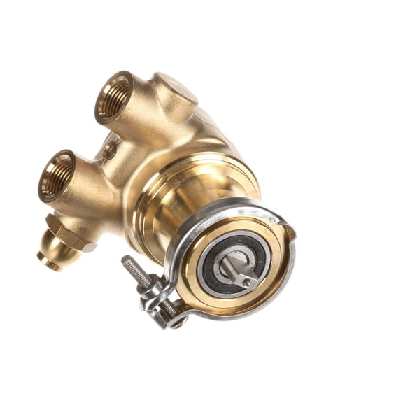 Multiplex 00702917 Pump 070 Gph Brass W/170