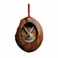 thumbnail image 1 of Multipurpose Owl Christmas Tree Ornament 2D Sturdy Acrylic Hanging Decoration for Holiday Parties and Collector, 1 of 11
