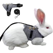 Ludlz Multipurpose Rabbits Hamster Vest Harness with Leash Bunny Mesh ...