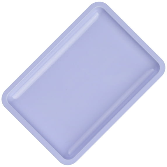 Nails Technician's Essential Stainless Steel Storage Organized Tray Stylish and Sturdy Tray False Nails Dish Tools