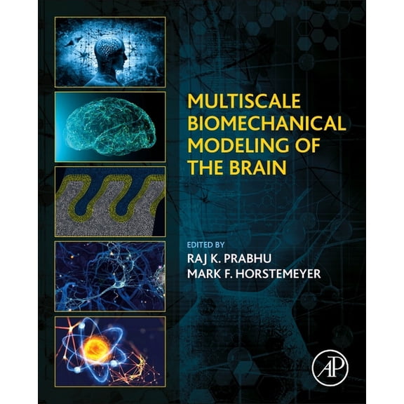 Multiscale Biomechanical Modeling of the Brain, (Paperback)