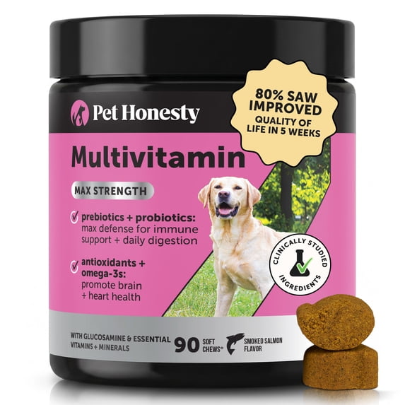Pet Honesty Dog Multivitamin Max Strength, 15-in-1 Soft Chews with Glucosamine, Probiotics & Omega 3s – Supports Joint, Heart, Immune, Skin & Coat Health, Salmon Flavor, 90 Ct