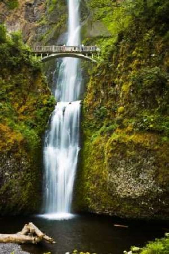 Multnomah Falls I Canvas Art - Bob Stefko (24 x 36)