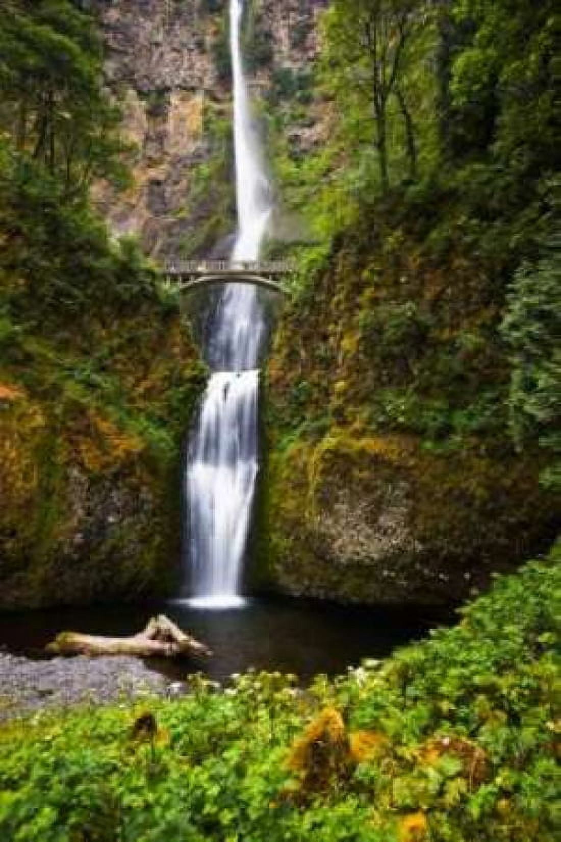 Multnomah Falls II Canvas Art - Bob Stefko (24 x 36)