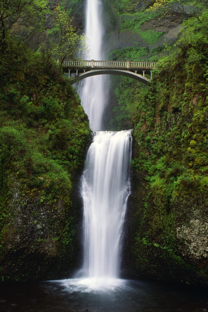 Multnomah Falls Oregon Usa Canvas Art - Dan Sherwood Design Pics (12 x 18)