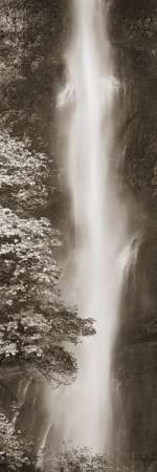 Multnomah Falls Panel Canvas Art - Alan Majchrowicz (12 x 36)