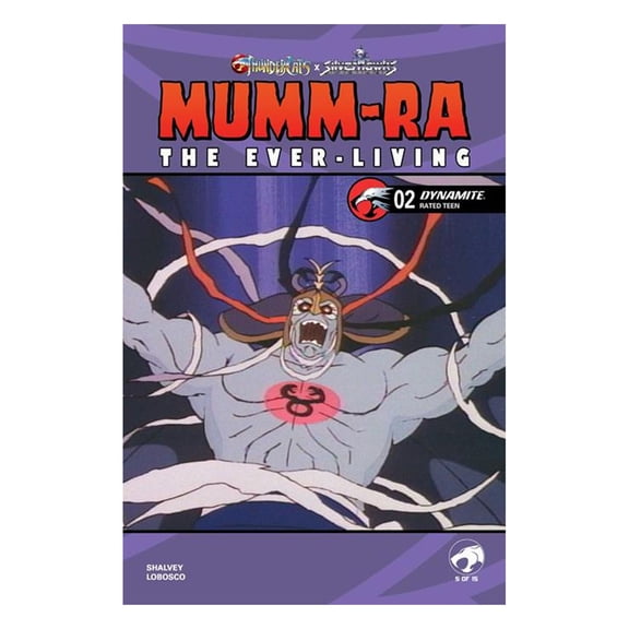 Mumm-Ra The Ever-Living #2 Cover E Animation Art
