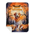 thumbnail image 1 of Mummy Golden Retriever Happy Halloween with Pumpkins Bats Spooky Fun Cozy Sherpa Blanket Goldens Dog Lover Gifts Idea Warm Soft Throw Blanket - 00019, 1 of 5