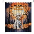 thumbnail image 1 of Mummy Maltese Happy Halloween with Pumpkins Bats Spooky Fun Shower Curtain Maltese Dog Lover Gifts Idea Waterproof Bathroom Bathtub Curtain - 00019, 1 of 5