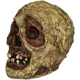 thumbnail image 1 of Mummy Skull Prop, 1 of 1