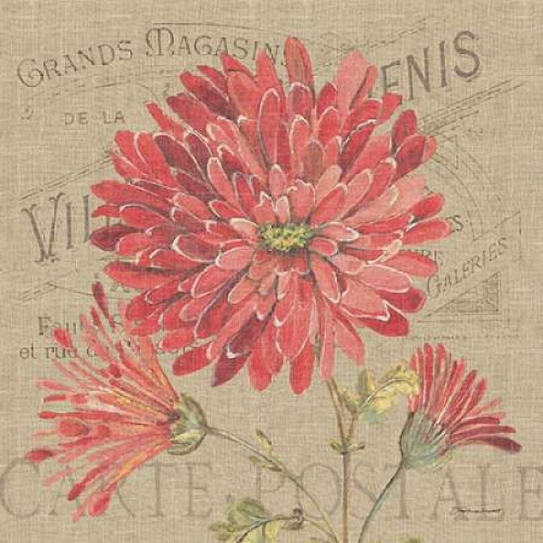 Mums Burlap Canvas Art - Stephanie Marrott (24 x 24)