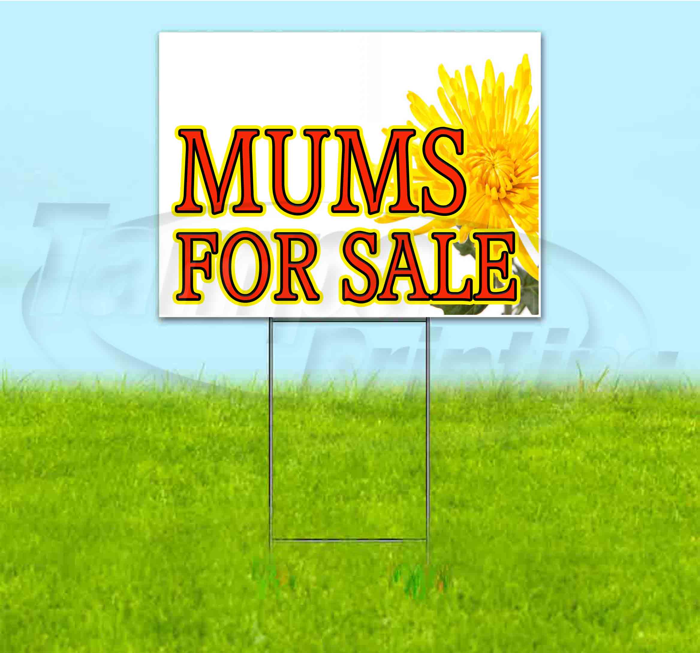Mums For Sale (18" x 24") Yard Sign, Includes Metal Step Stake