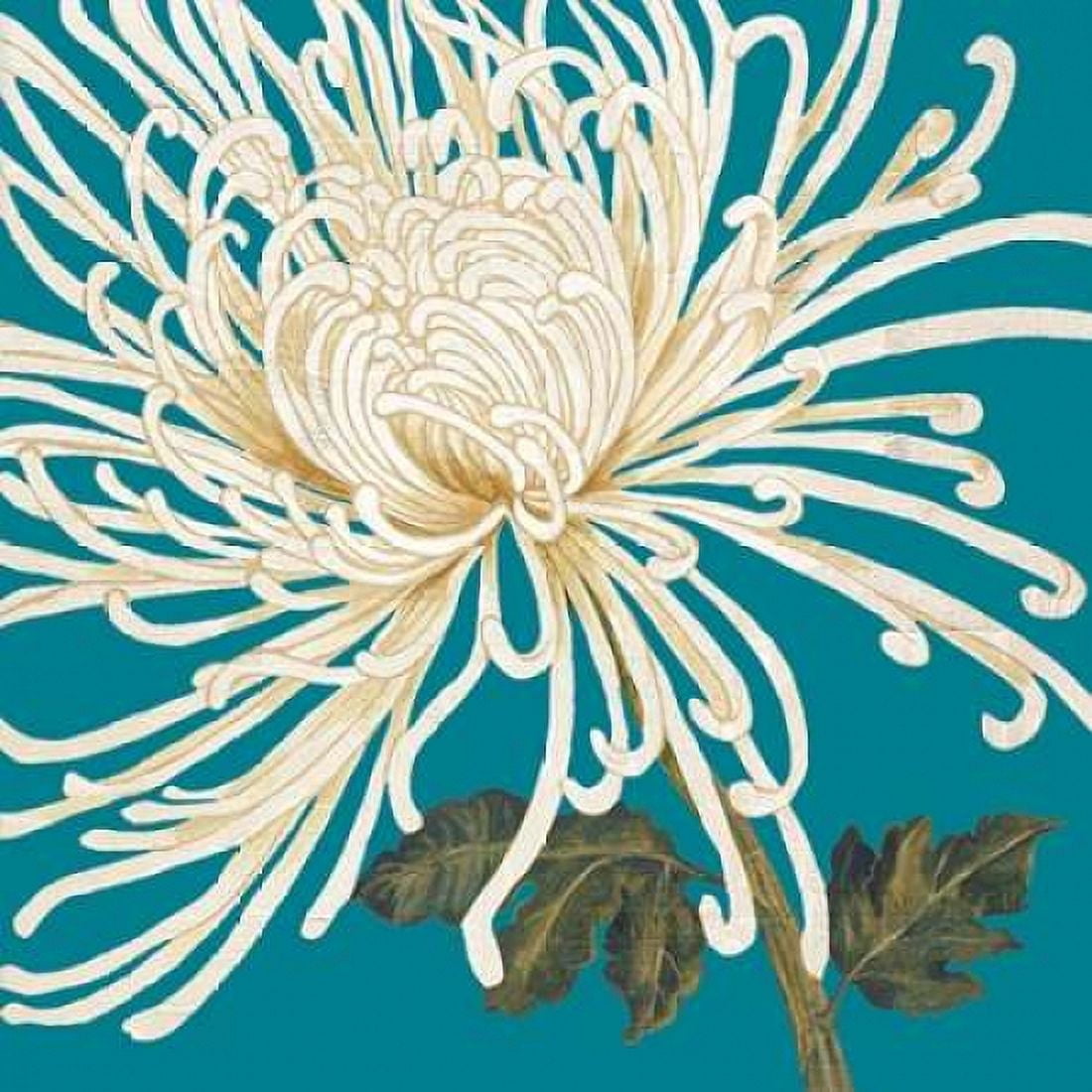 Mums The Word II Canvas Art - Lily Nicole (24 x 24)