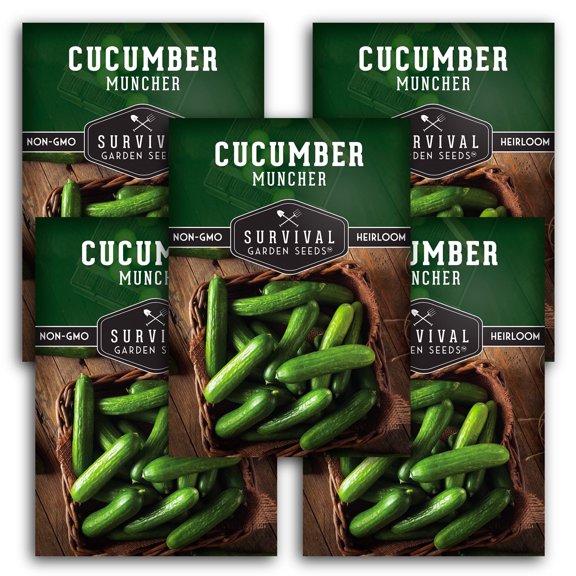 Muncher Cucumber Seeds - Non-GMO Heirloom Full Sun Annual Vegetable - 5 Packs