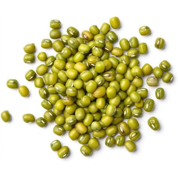 Mung Bean Seeds for Planting - Grow Healthy Mung Beans - Moong Beans are Great for Sprouts (500 Seeds)