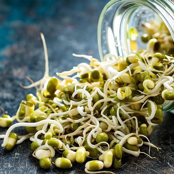 Mung Bean Sprouting 500 Seeds | Nutritious, Easy-to-Sprout Beans