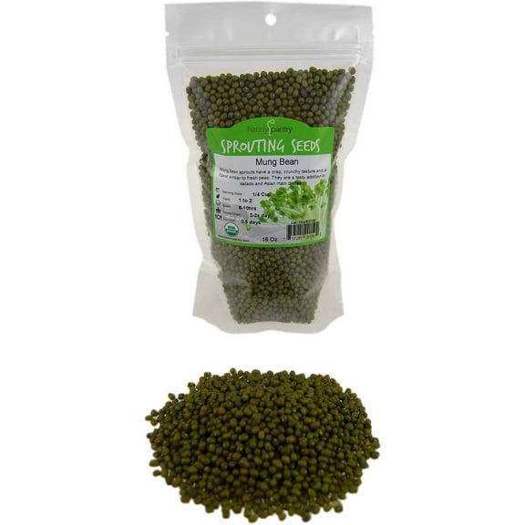 Mung Bean Sprouting Seed: 2.5 Lb - Organic, Non-GMO - Handy Pantry Brand - Dried Moong Beans for Sprouts, Garden Planting, Chinese & Asian Cooking, Soup & More 2.5 LB Bag