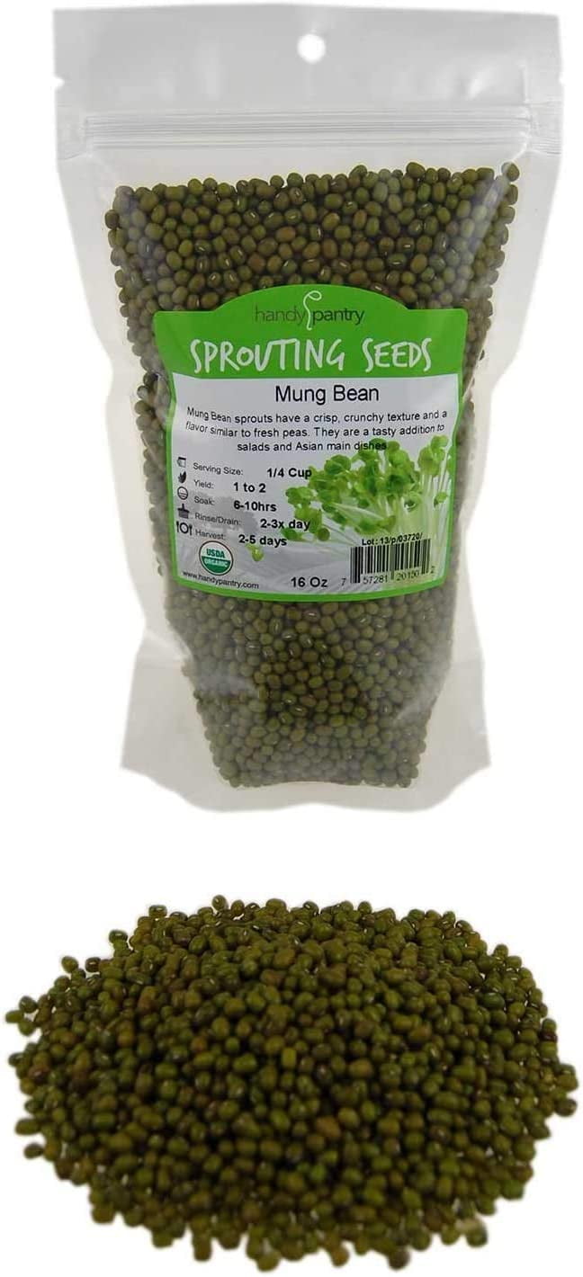 Mung Bean Sprouting Seed: 2 5 Lb Organic Non GMO Handy Pantry Mung Bean Sprouting Seed: 2 5 Lb Organic Non GMO Handy Pantry