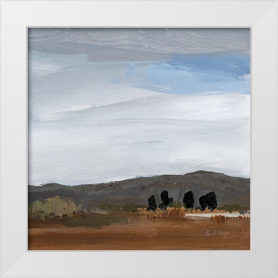 Munger, Pamela 20x20 White Modern Wood Framed Museum Art Print Titled - Alamosa