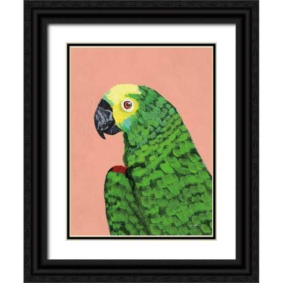 Munger, Pamela 25x32 Black Ornate Wood Framed with Double Matting Museum Art Print Titled - Parrot Head
