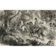 thumbnail image 1 of Mungo Park 1771 To 1806 Scottish Explorer Encountering A Lion Whilst On His, 1 of 4