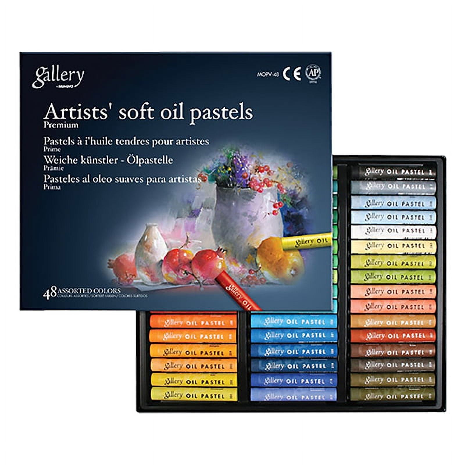 Mungyo Gallery Artists' Soft Oil Pastels - Set of 48 - Walmart.com