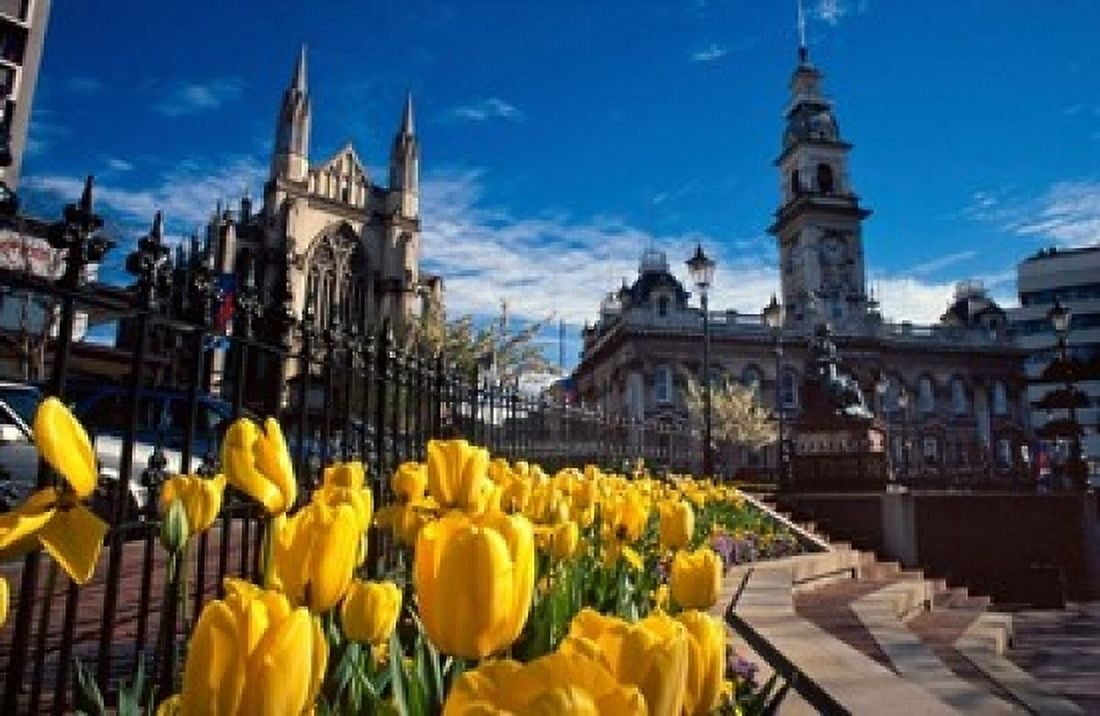 Municipal Chambers and St Pauls Octagon Dunedin New Zealand Canvas Art - David Wall DanitaDelimont (18 x 12)