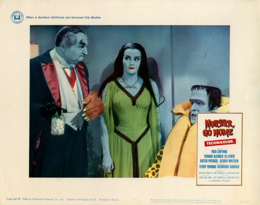 Munster Canvas Art - (28 x 22)