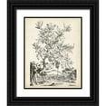thumbnail image 1 of Munting, Abraham 12x14 Black Ornate Wood Framed with Double Matting Museum Art Print Titled - Scenic Botanical II, 1 of 4