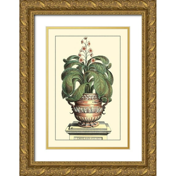 Munting, Abraham 17x24 Gold Ornate Wood Framed with Double Matting Museum Art Print Titled - Antique Munting Aloe II