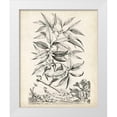 thumbnail image 1 of Munting, Abraham 26x32 White Modern Wood Framed Museum Art Print Titled - Scenic Botanical IV, 1 of 4