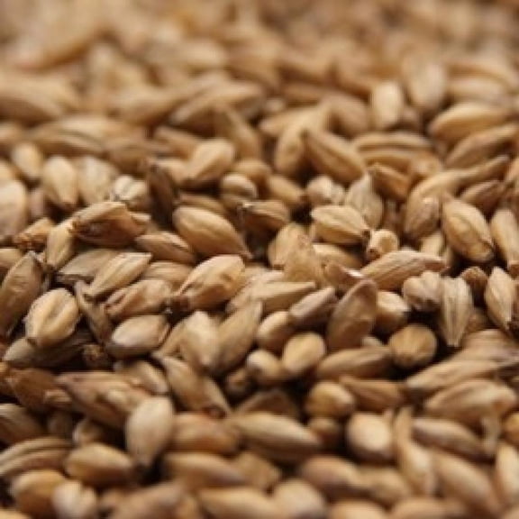 Muntons Maris Otter - 10 LB, Uncrushed