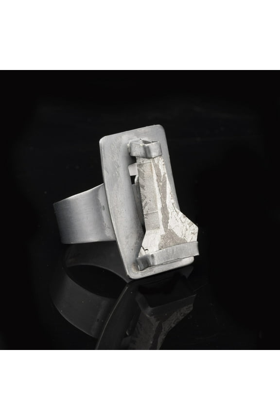 Muonionalusta Meteorite Saddle Ring // Adjustable