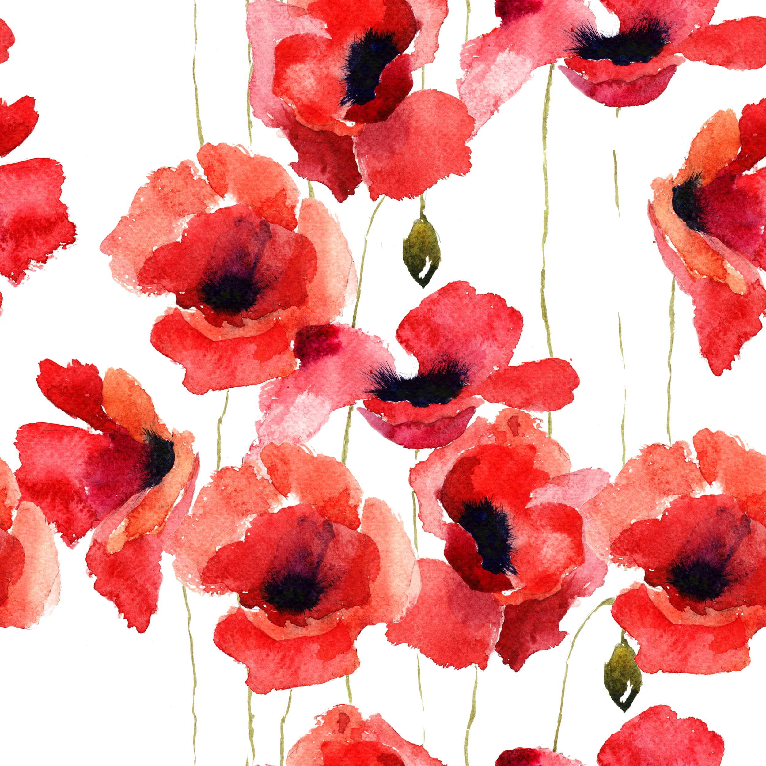 MuralsPrint Karisma Red Poppy Seamless Removable Wallpaper - 24'' inch ...