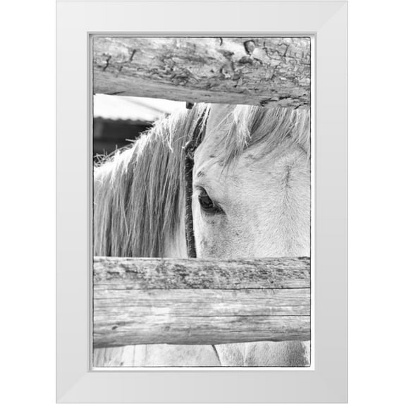 Murdock, Ramona 11x14 White Modern Wood Framed Museum Art Print Titled - Peek B and W