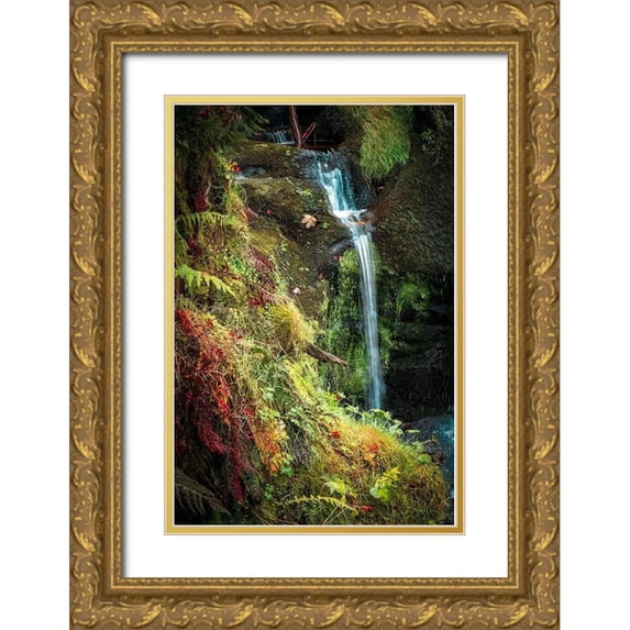 Murdock, Ramona 13x18 Gold Ornate Wood Framed with Double Matting Museum Art Print Titled - Black Forest Lower Falls