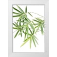 thumbnail image 1 of Murdock, Ramona 17x24 White Modern Wood Framed Museum Art Print Titled - Bamboo Bouquet, 1 of 4