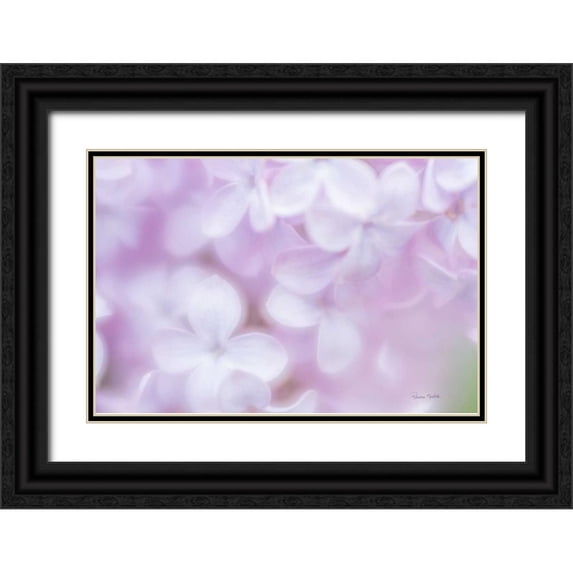 Murdock, Ramona 32x23 Black Ornate Wood Framed with Double Matting Museum Art Print Titled - So Soft Lilac