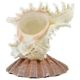 thumbnail image 1 of Murex Shell with Lion Paw Seashell Base Lamp Night Light, 1 of 2