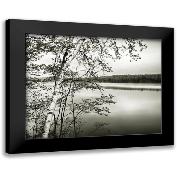 Murray, Chris 24x20 Black Modern Framed Museum Art Print Titled - Adirondack Reflections