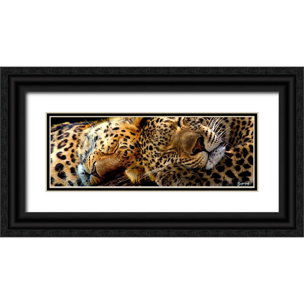 Murray Henderson Fine Art 18x9 Black Ornate Wood Framed with Double ...