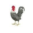 thumbnail image 1 of Murray Rooster Decor - Preening, 1 of 4