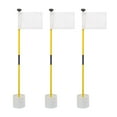 Murray Sporting Goods Golf Flagsticks, Flags and Cups, Set of 3 Mini