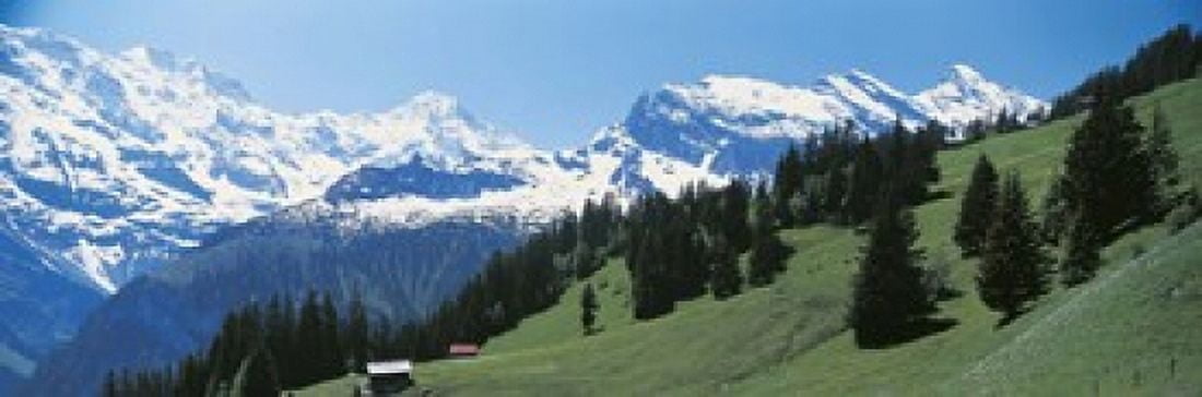 Murren Switzerland Canvas Art - Panoramic Images (18 x 6)