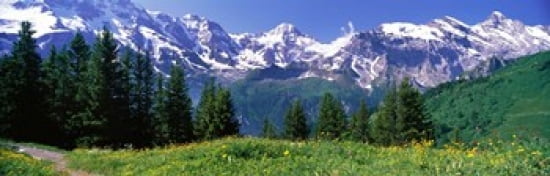 Murren Switzerland Canvas Art - Panoramic Images (36 x 12)