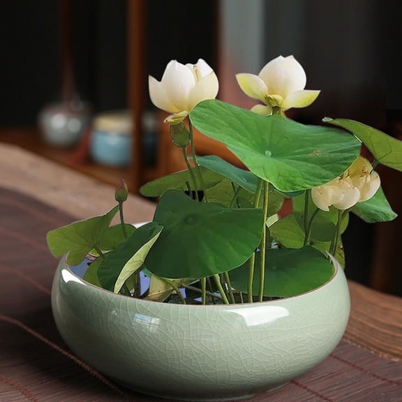Musatteng Large Ceramic Planter Bowl for Indoor - Round Hydroponic Bonsai Pot with Silicone Base, Waterproof Design for Home & Concrete Surfaces