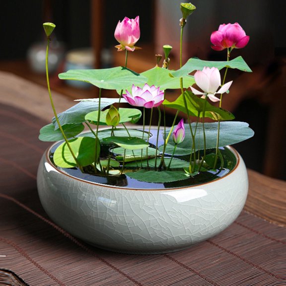 Musatteng Large Ceramic Planter Bowl for Indoor - Round Hydroponic Bonsai Pot with Silicone Base, Waterproof Design for Home & Concrete Surfaces