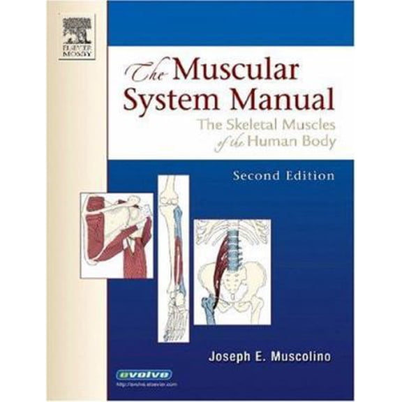 Pre-Owned The Muscular System Manual: The Skeletal Muscles of the Human Body, 2nd Edition (Paperback) 0323025234 9780323025232